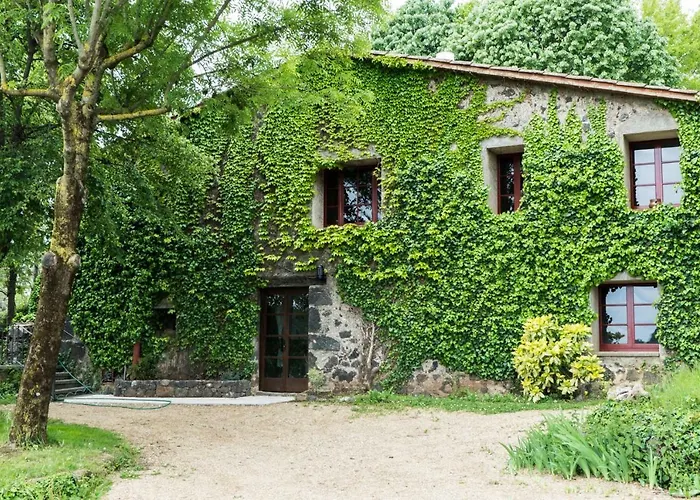Mas La Mata
